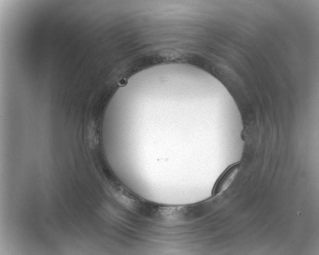 X0000068770136200605121711