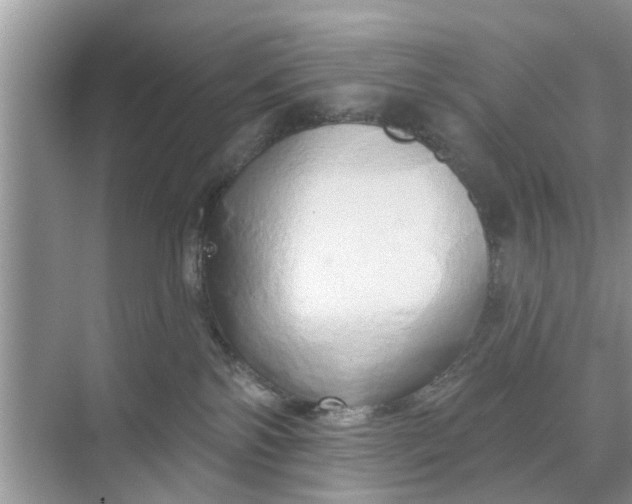 X0000068770138200605121711