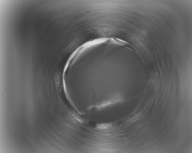 X0000068770139200605121711