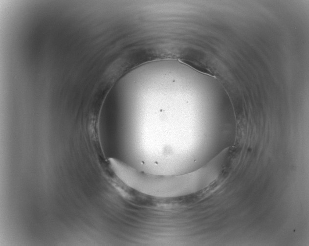 X0000068770141200605121711