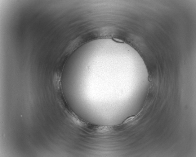 X0000068770142200605121711