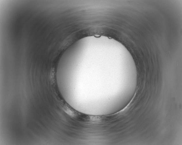 X0000068770144200605121711