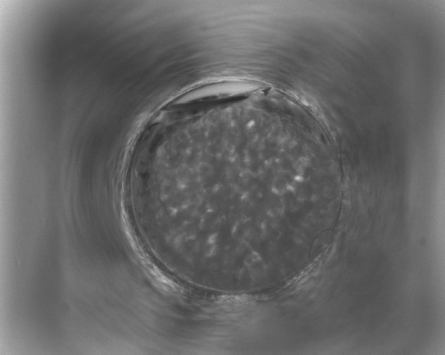 X0000068770145200605121710