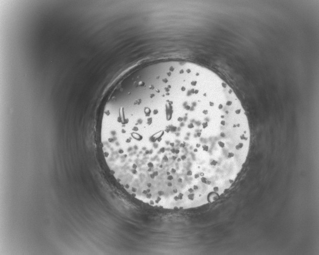 X0000068770146200605121710