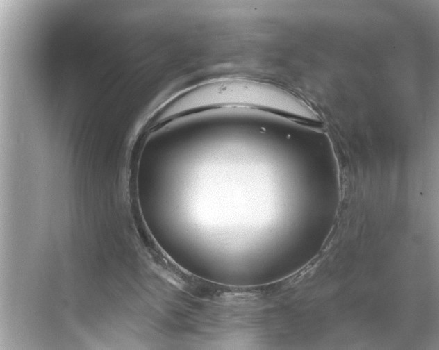 X0000068770150200605121710