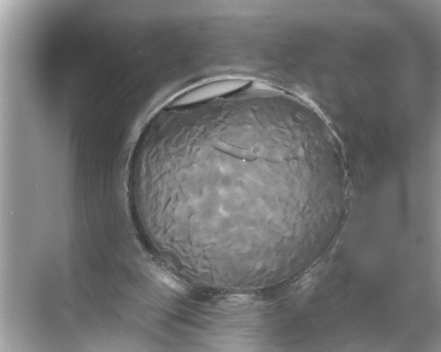 X0000068770151200605121710