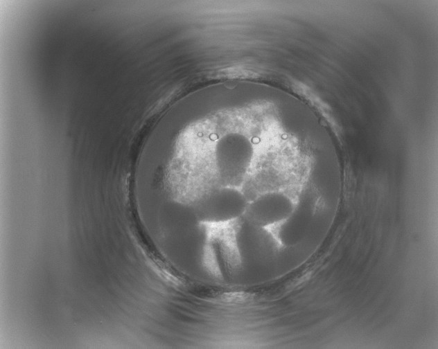 X0000068770153200605121710