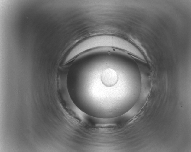 X0000068770154200605121710