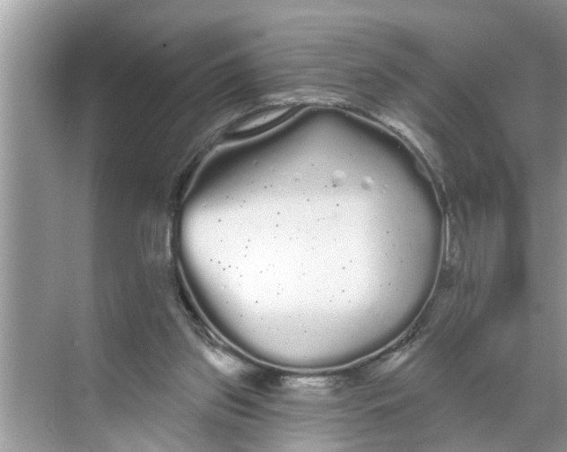 X0000068770157200605121711