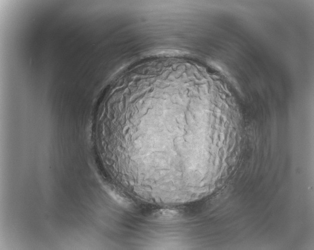 X0000068770159200605121711