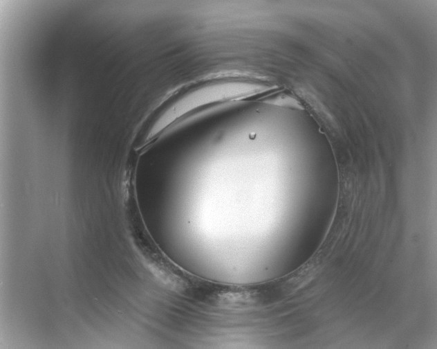 X0000068770160200605121711