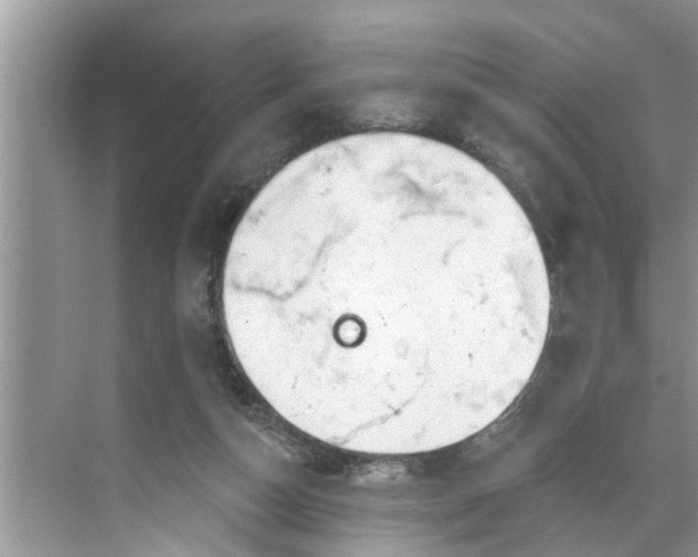 X0000068770162200605121711