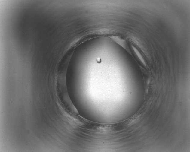 X0000068770164200605121711