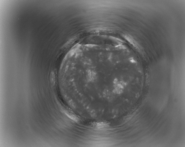 X0000068770165200605121711