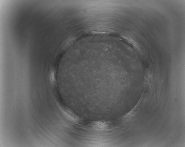 X0000068770166200605121711