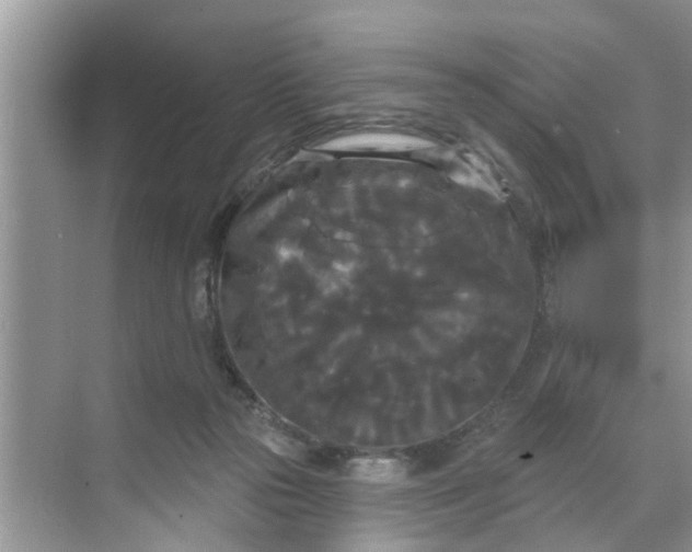 X0000068770169200605121711