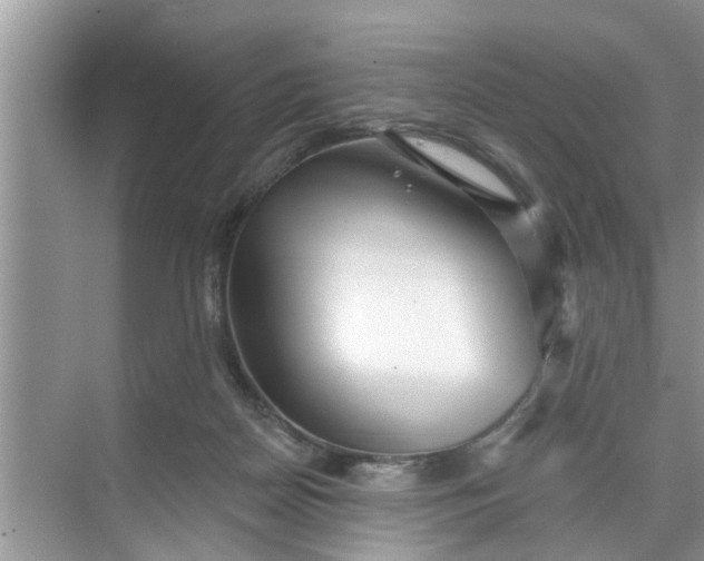 X0000068770170200605121711