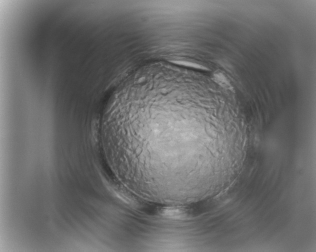 X0000068770171200605121711