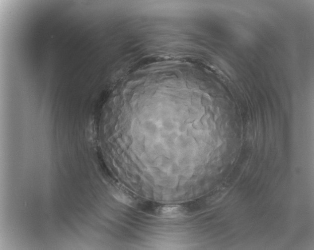 X0000068770173200605121711