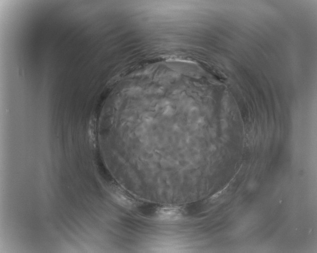 X0000068770175200605121711