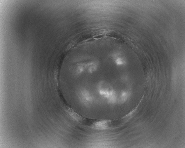 X0000068770178200605121711