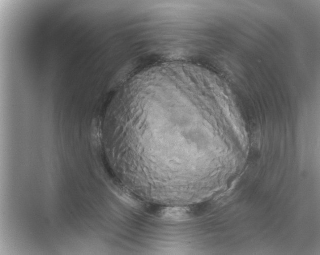 X0000068770179200605121711