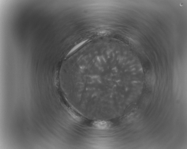 X0000068770181200605121711