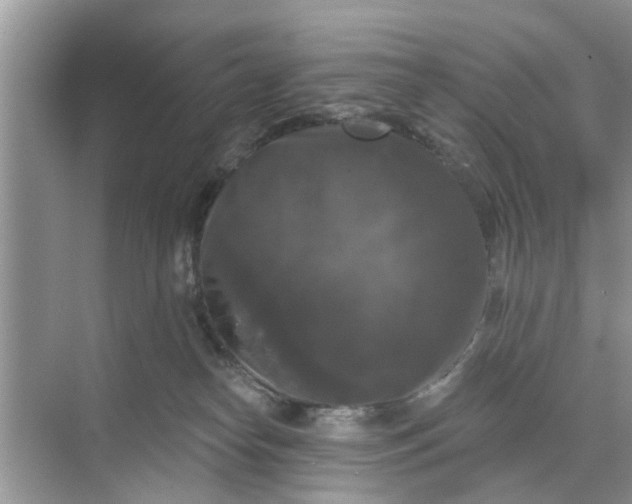 X0000068770182200605121711