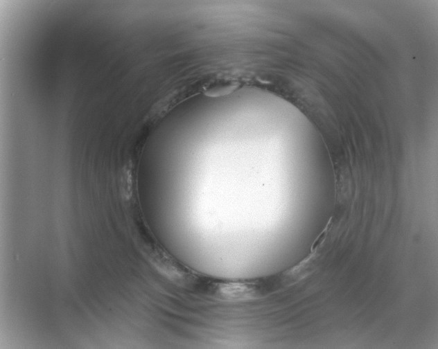 X0000068770183200605121711