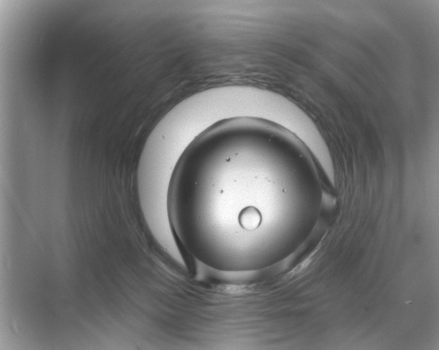 X0000068770184200605121711