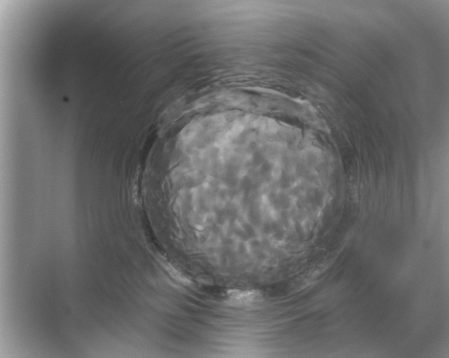 X0000068770185200605121711