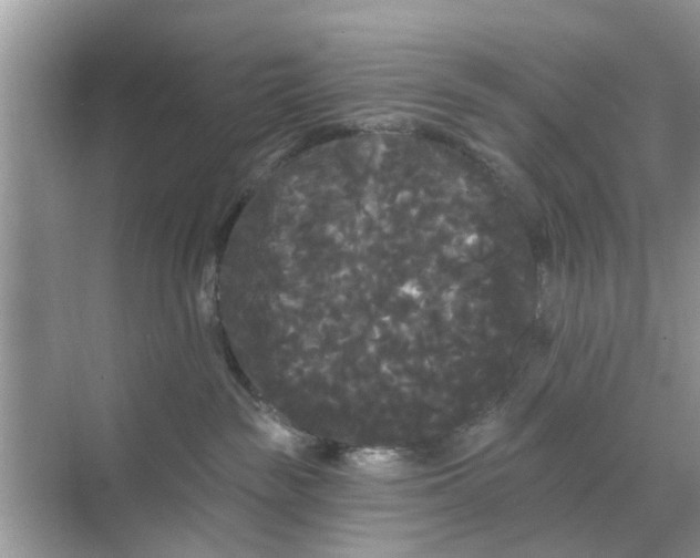 X0000068770189200605121711