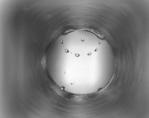 X0000068770190200605121711