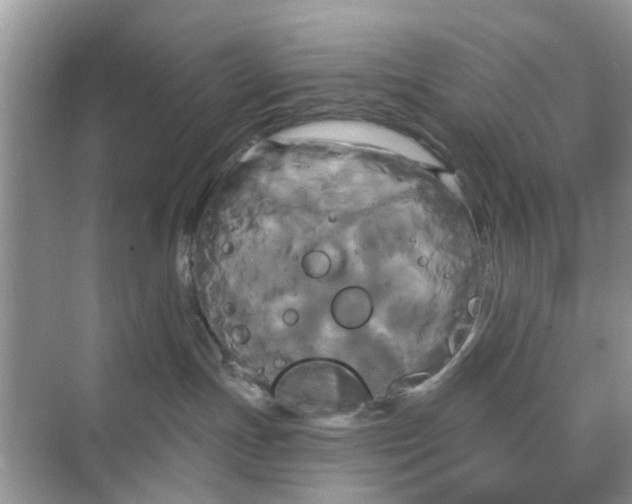 X0000068770191200605121711