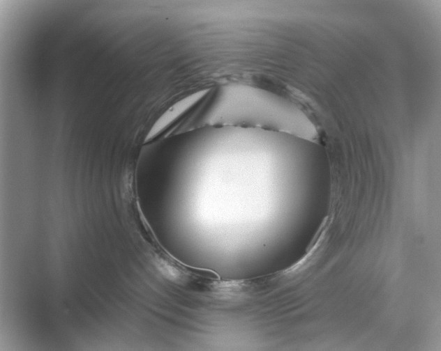 X0000068770192200605121711