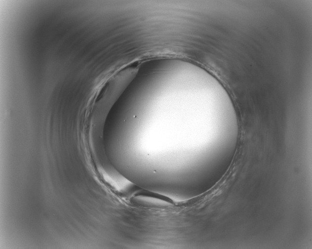 X0000068770193200605121710