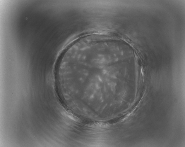 X0000068770198200605121710