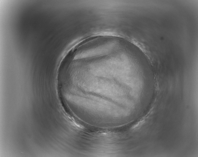 X0000068770199200605121710