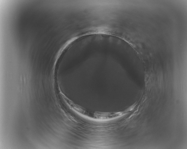 X0000068770200200605121710