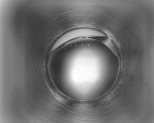 X0000068770201200605121710