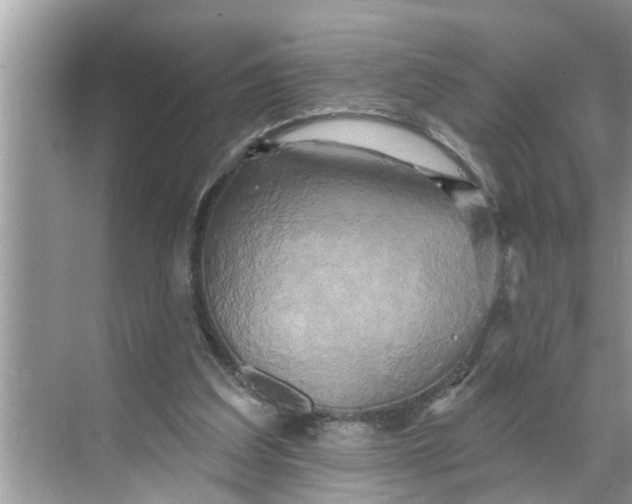 X0000068770203200605121710