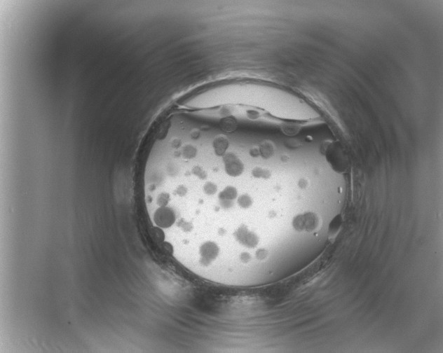 X0000068770204200605121710