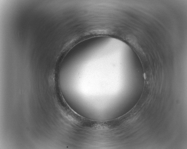 X0000068770207200605121710