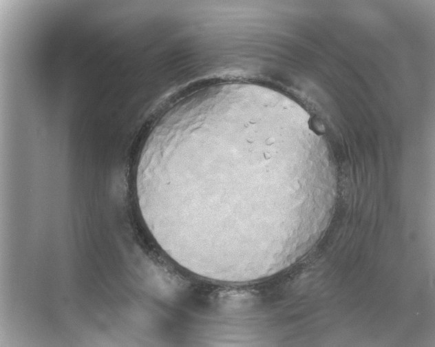 X0000068770208200605121710