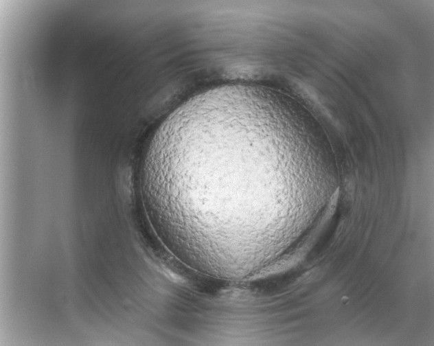 X0000068770211200605121710