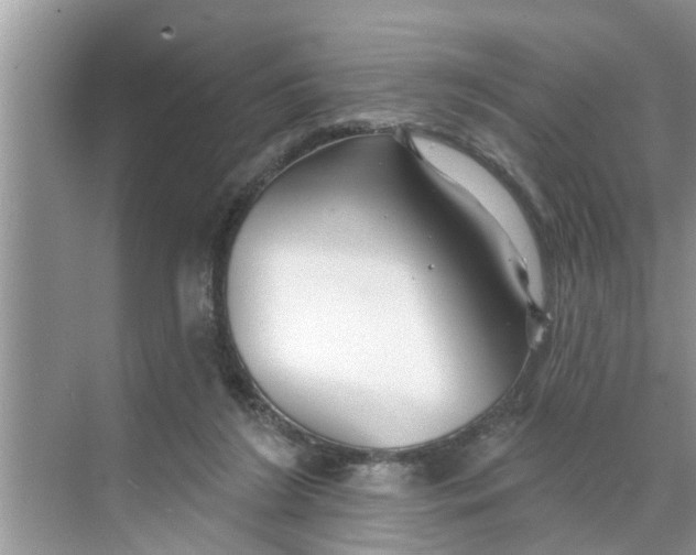 X0000068770212200605121710