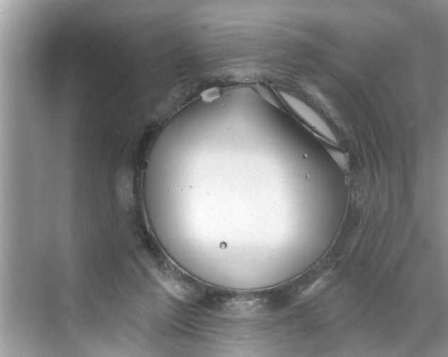 X0000068770213200605121710