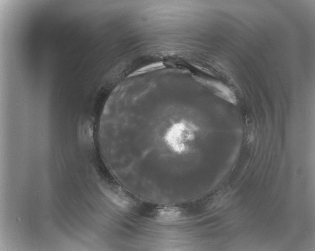 X0000068770214200605121710