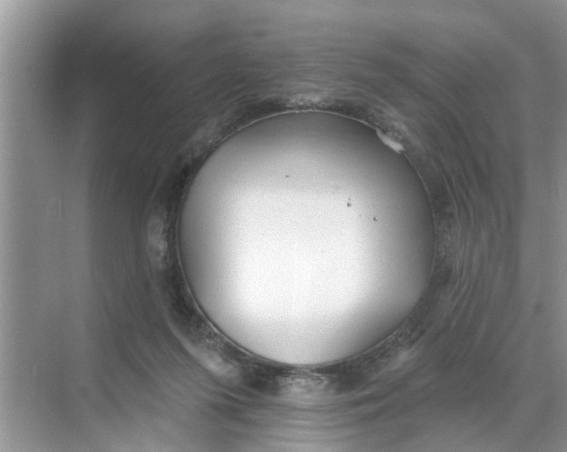 X0000068770215200605121710