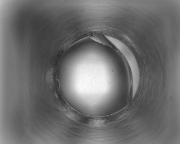 X0000068770217200605121710